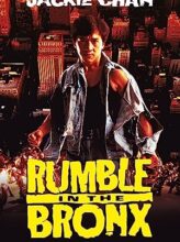 Rumble in the Bronx (1995) izle