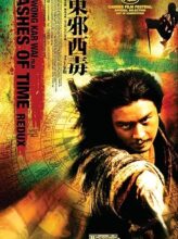 Ashes of Time (1994) izle