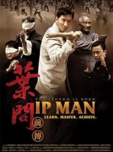 The Legend Is Born: Ip Man (2010) izle