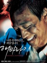 Sunflower (2006) izle