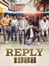 Reply 1988 (2015) izle