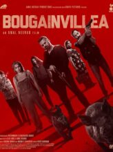 Bougainvillea (2024) izle