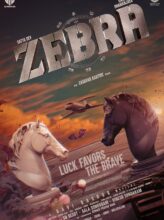 Zebra (2024) izle